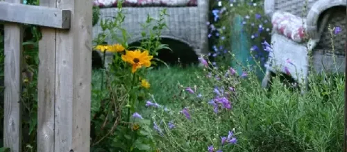 Garden Photos of the Day