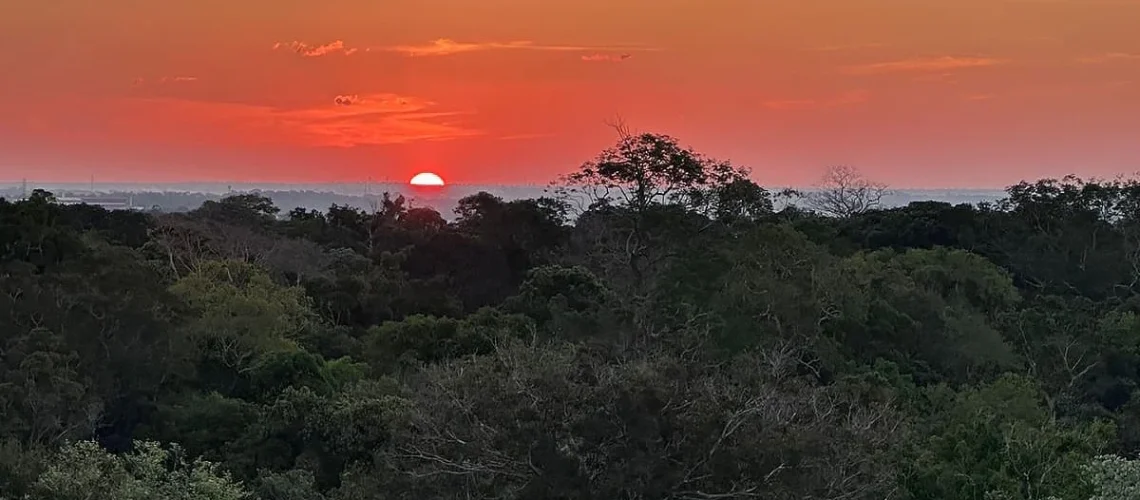 Amazônia