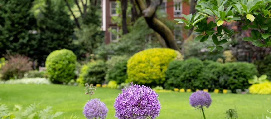 Jefferson Market Garden