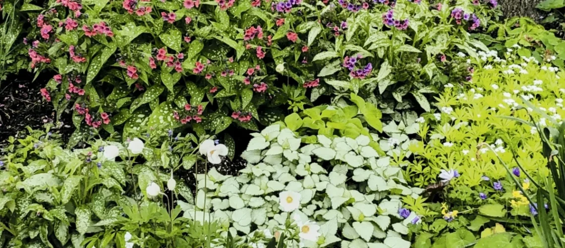 Gardening