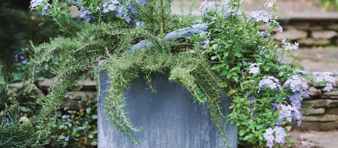 Container gardening