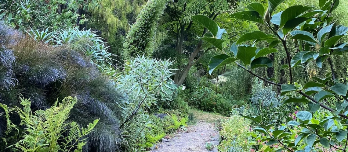 Western Hills Garden